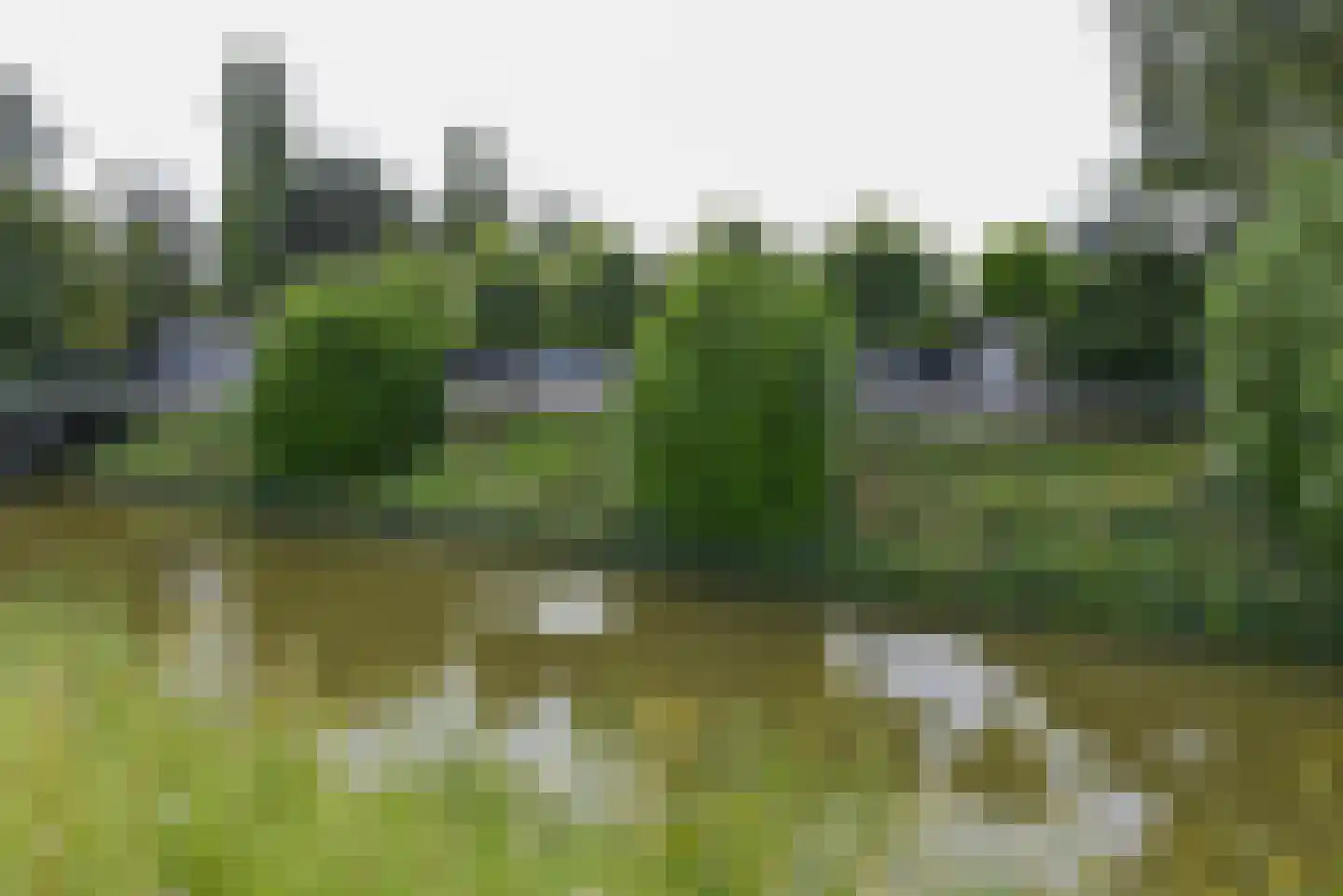 Machineweg 290 Aalsmeer thumbnail 71