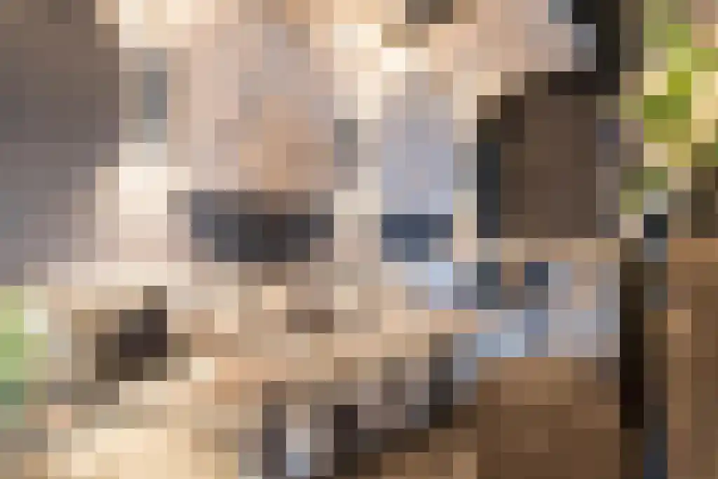 Machineweg 291 Aalsmeer thumbnail 30