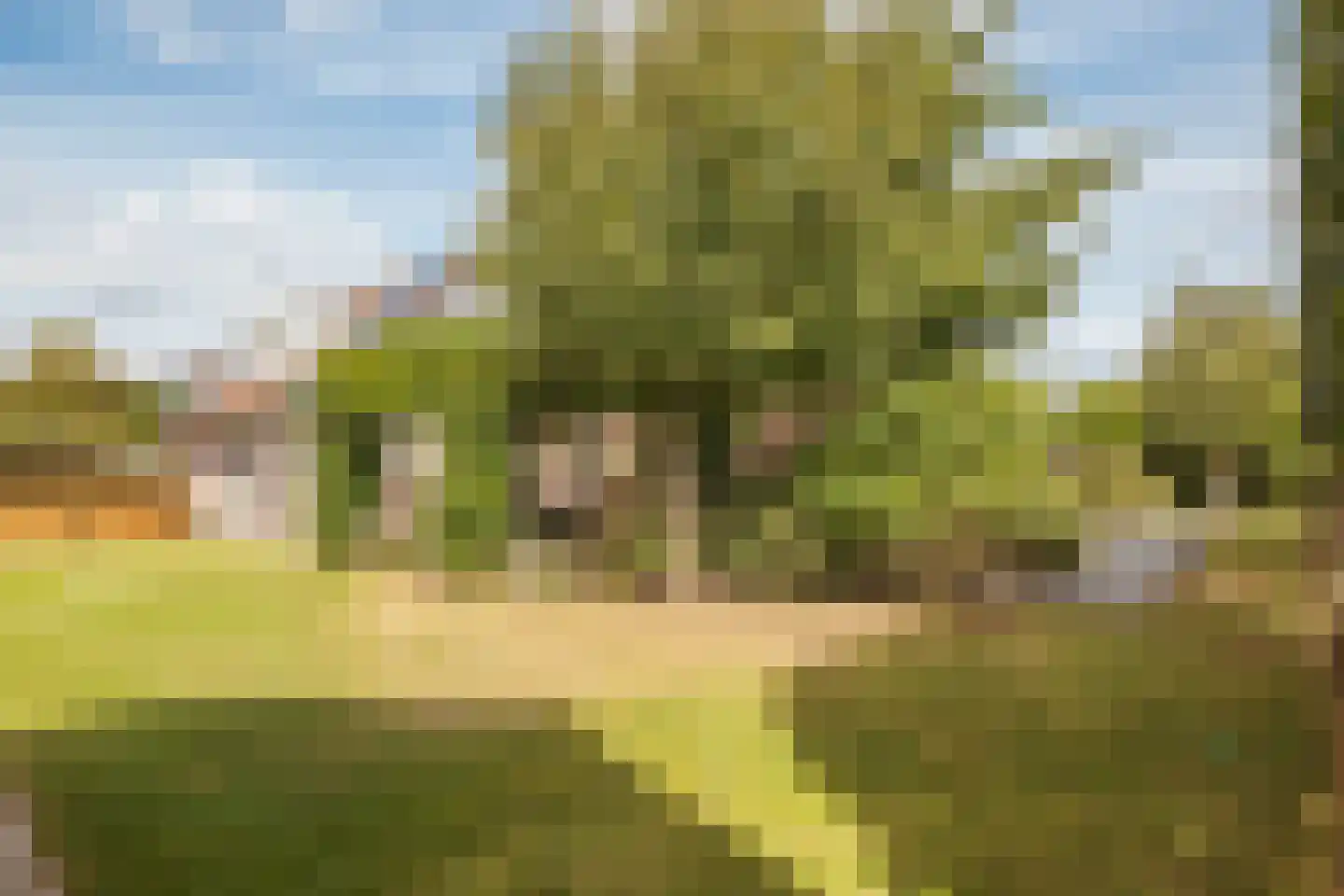 Machineweg 302 a Aalsmeer thumbnail 22