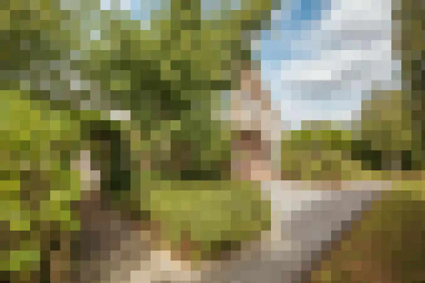 Machineweg 302 a Aalsmeer thumbnail 23