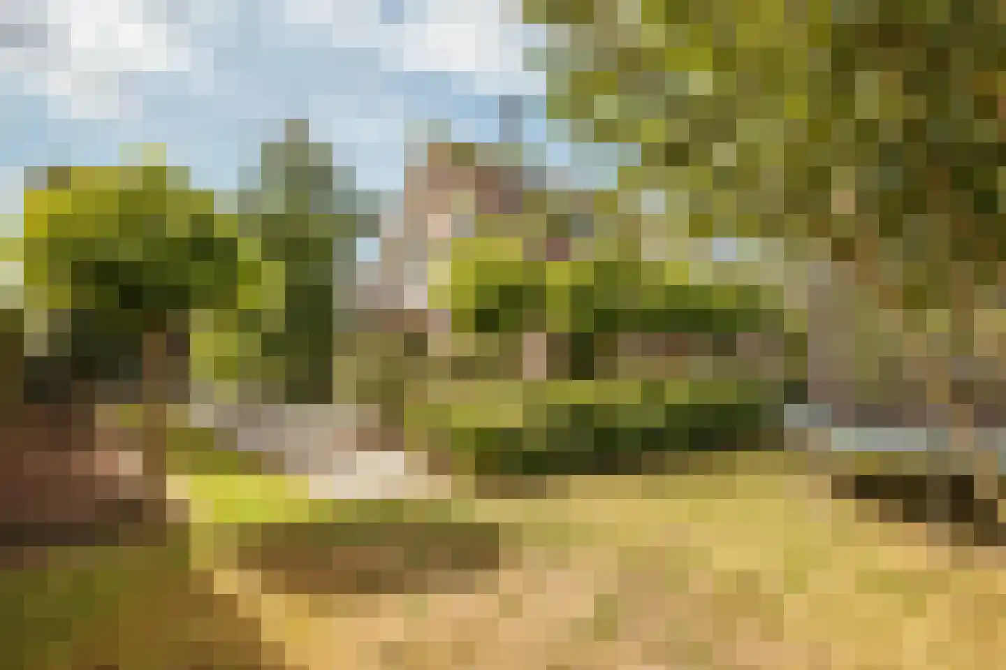 Machineweg 302 a Aalsmeer thumbnail 24