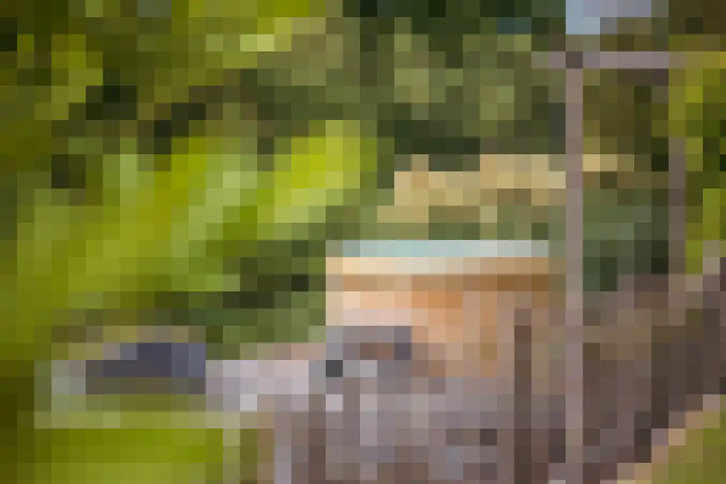 Machineweg 302 a Aalsmeer thumbnail 33