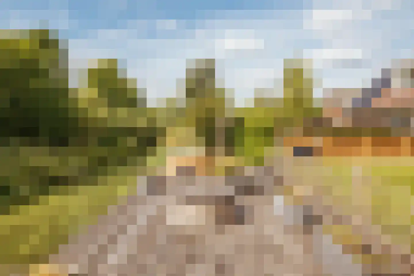 Machineweg 302 a Aalsmeer thumbnail 34