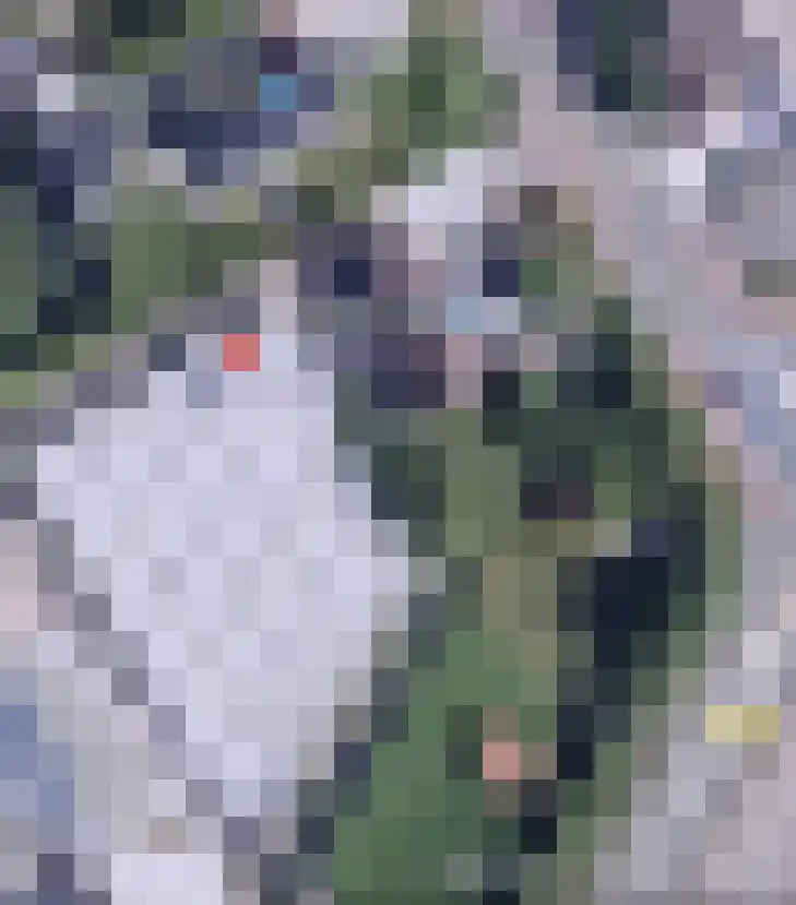 Machineweg 304 A Aalsmeer thumbnail 4