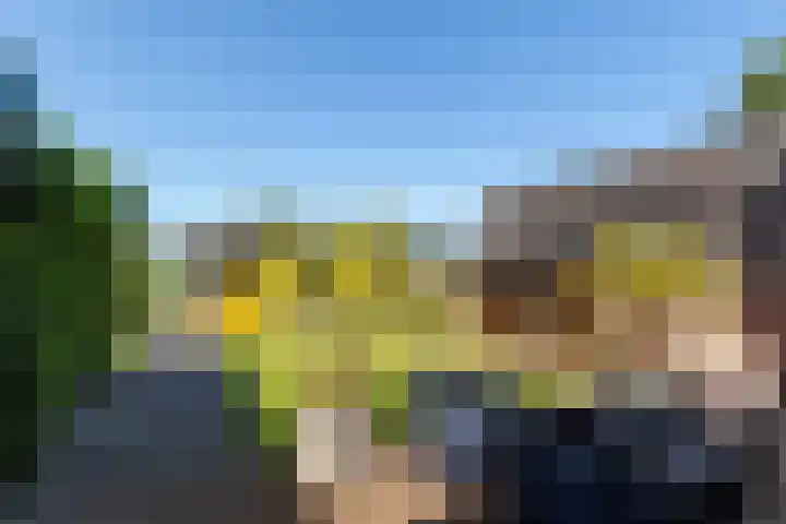 Machineweg 7 Nederhorst den Berg thumbnail 20