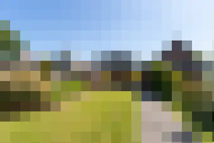 Machineweg 7 Nederhorst den Berg thumbnail 25