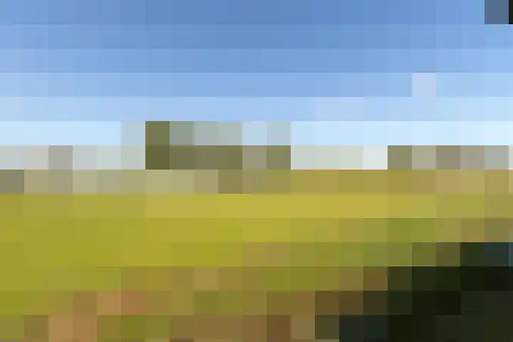 Machineweg 7 Nederhorst den Berg thumbnail 29