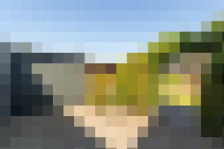 Machineweg 7 Nederhorst den Berg thumbnail 30