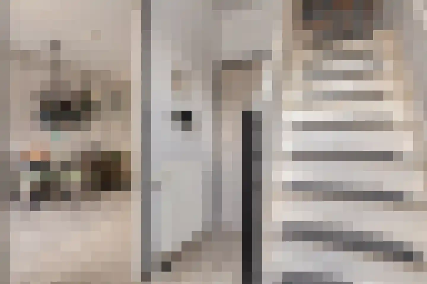 Machinistenstraat 21 Koog aan de Zaan thumbnail 13