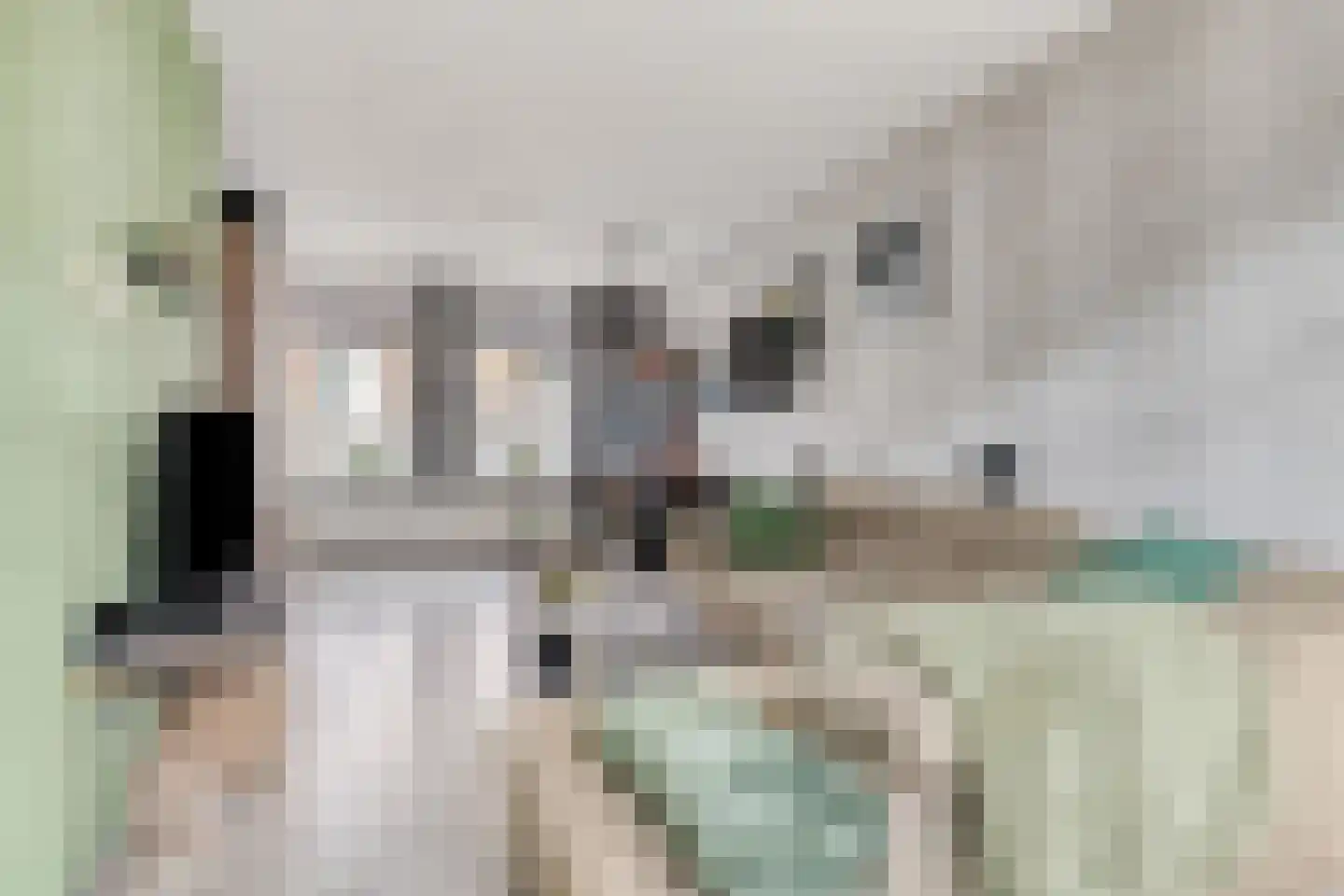 Machinistenstraat 21 Koog aan de Zaan thumbnail 4