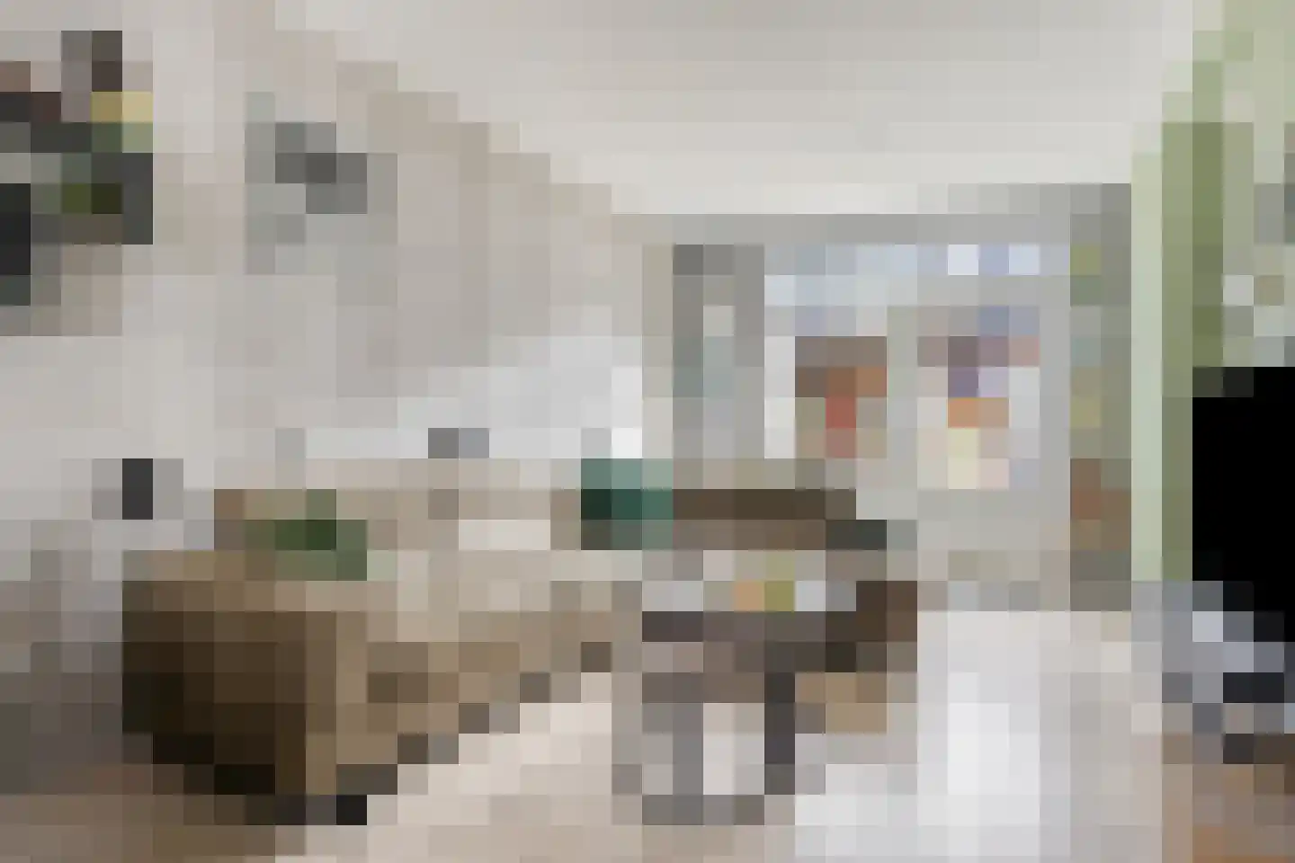Machinistenstraat 21 Koog aan de Zaan thumbnail 5