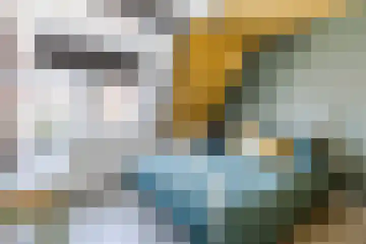 Machinistenstraat 35 Koog aan de Zaan thumbnail 24