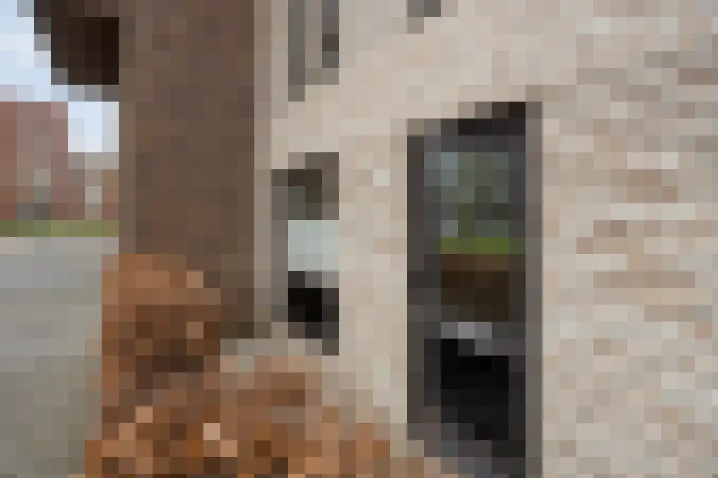 Machiniststraat 41 Rotterdam thumbnail 24