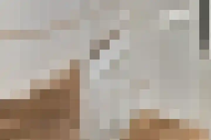 Machteld Cosijnsweg 22 Gouda thumbnail 21
