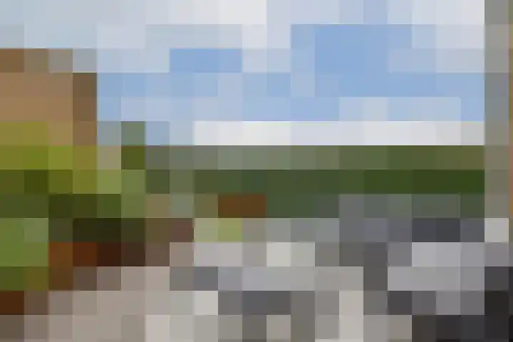 Machteld Cosijnsweg 22 Gouda thumbnail 29