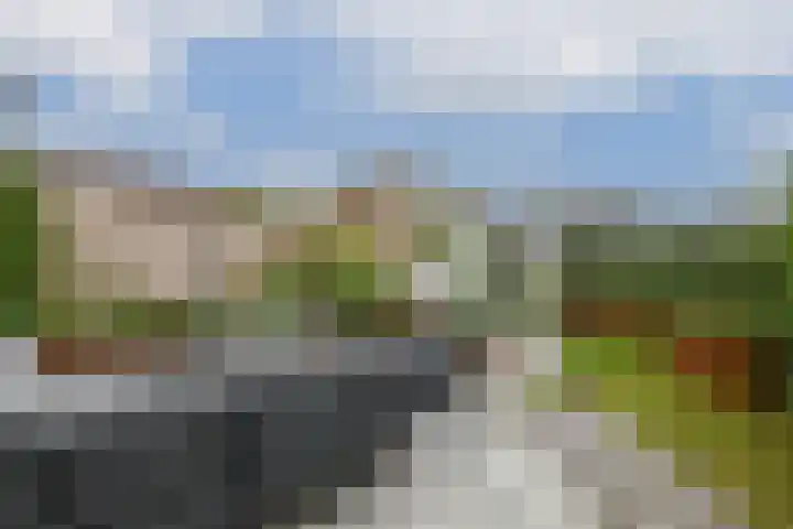 Machteld Cosijnsweg 22 Gouda thumbnail 4