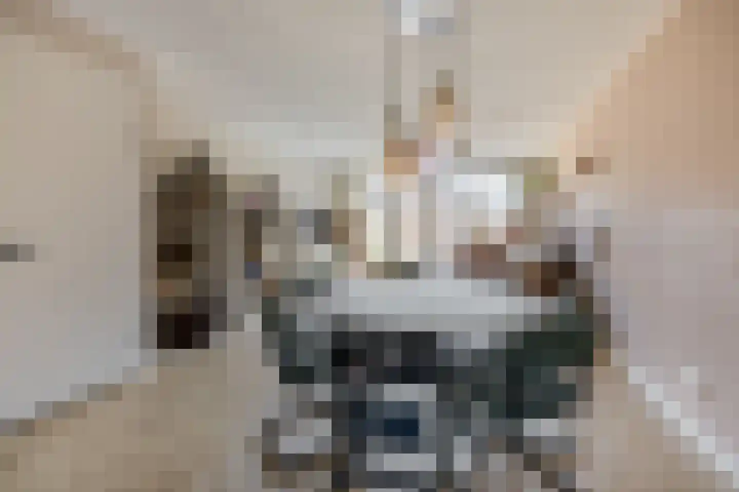 Machteld Cosijnsweg 4 Gouda thumbnail 12