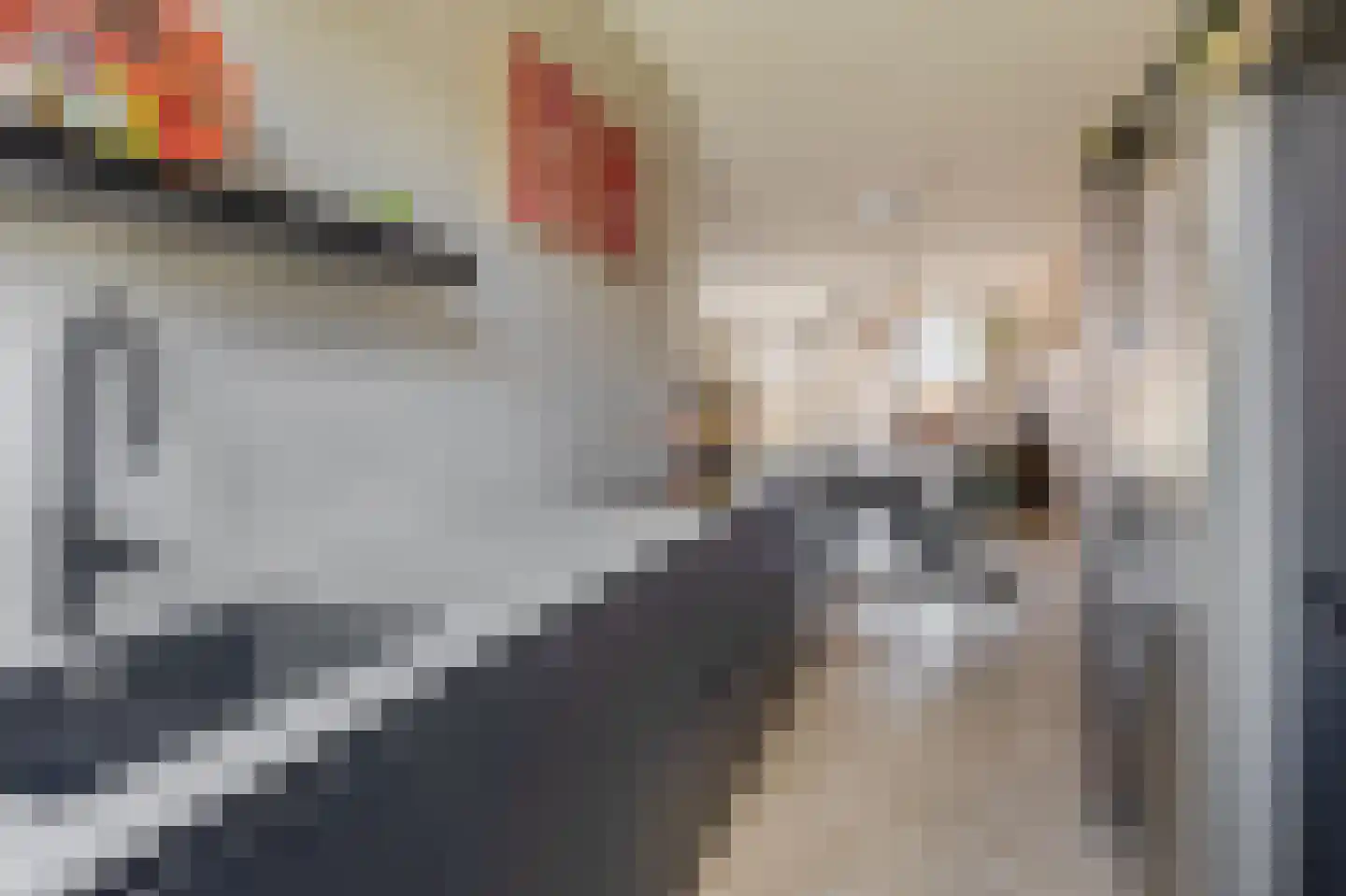 Machteld Cosijnsweg 4 Gouda thumbnail 13