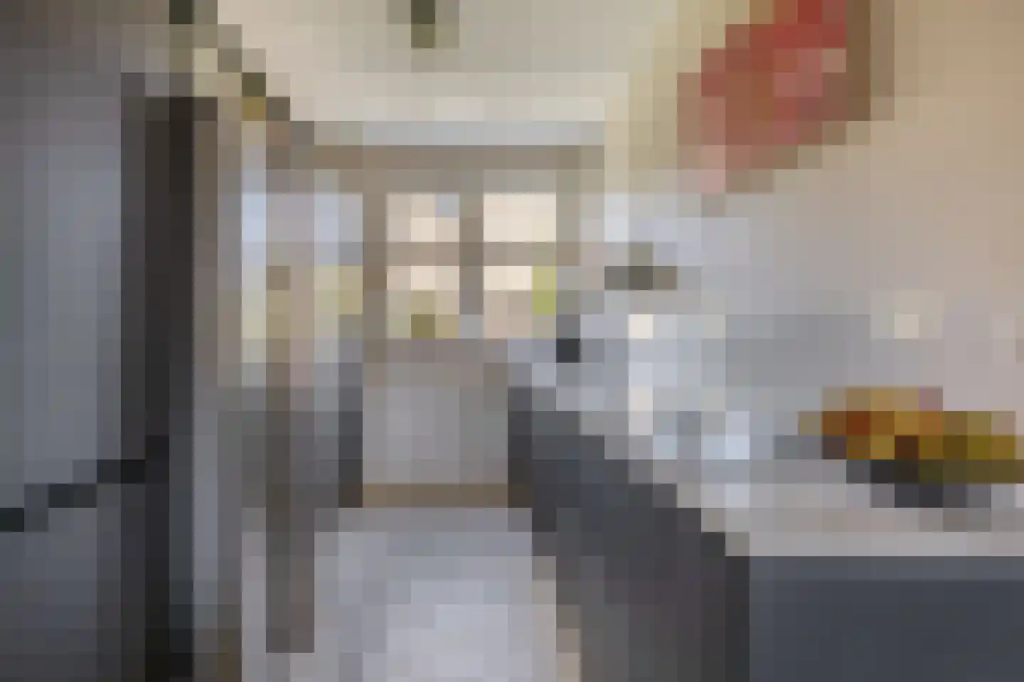 Machteld Cosijnsweg 4 Gouda thumbnail 14