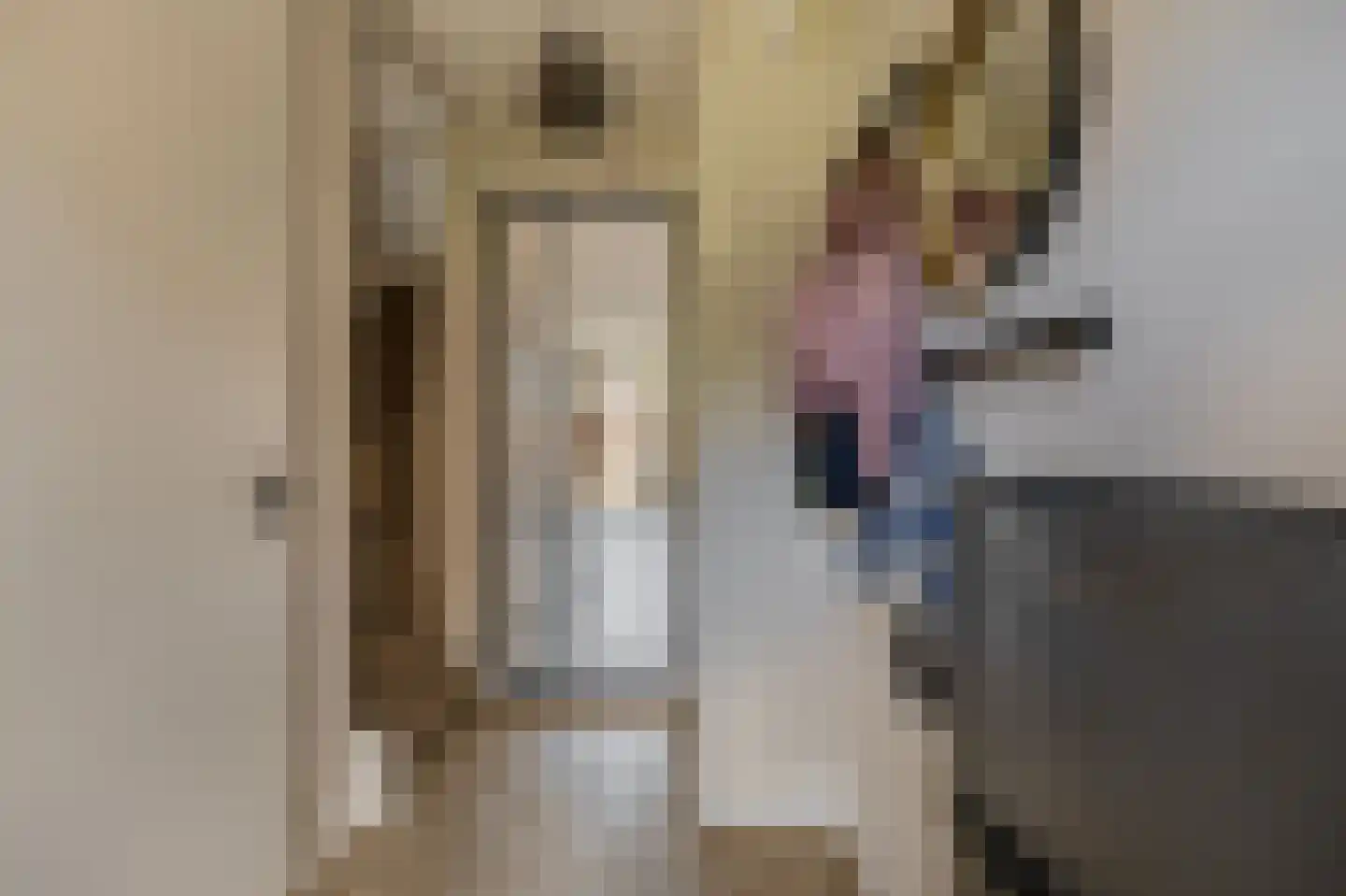 Machteld Cosijnsweg 4 Gouda thumbnail 17
