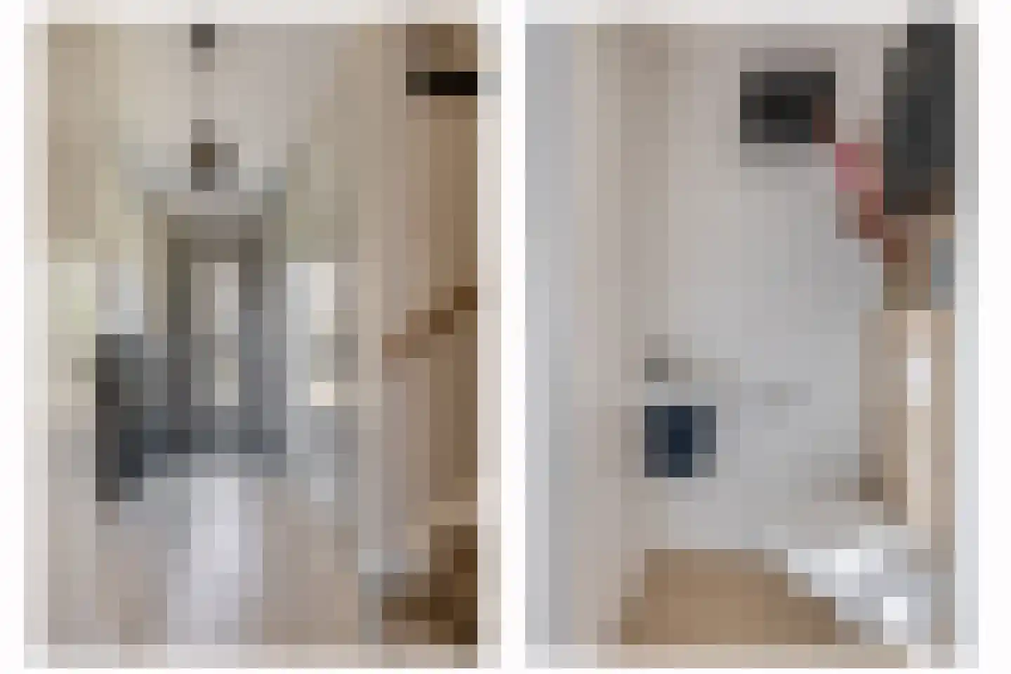 Machteld Cosijnsweg 4 Gouda thumbnail 8