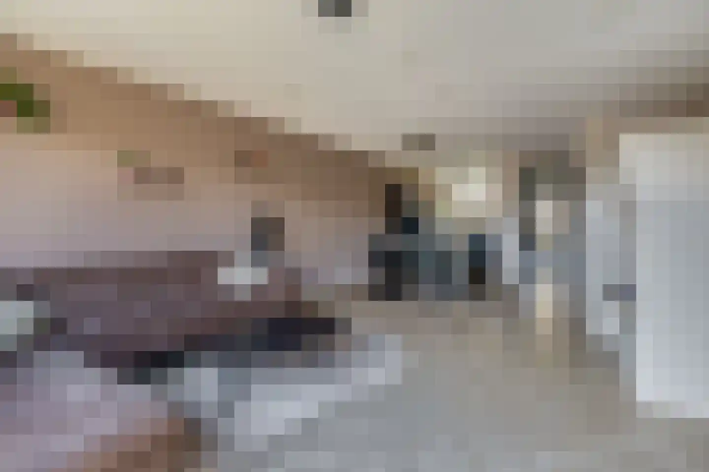 Machteld Cosijnsweg 4 Gouda thumbnail 9