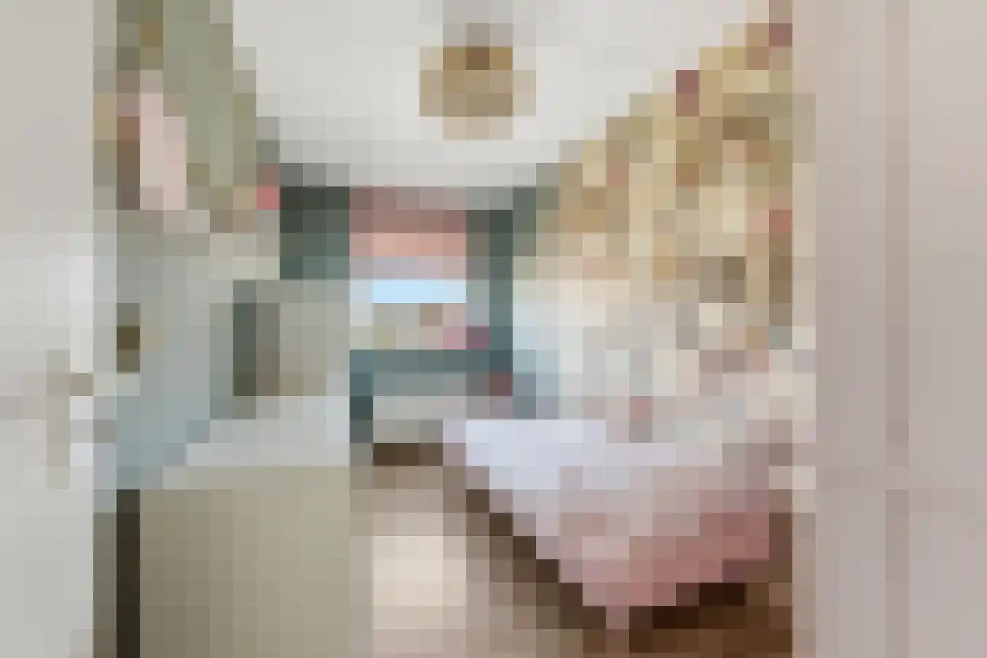 Machteld Sandelijnslaan 24 Hendrik-Ido-Ambacht thumbnail 16