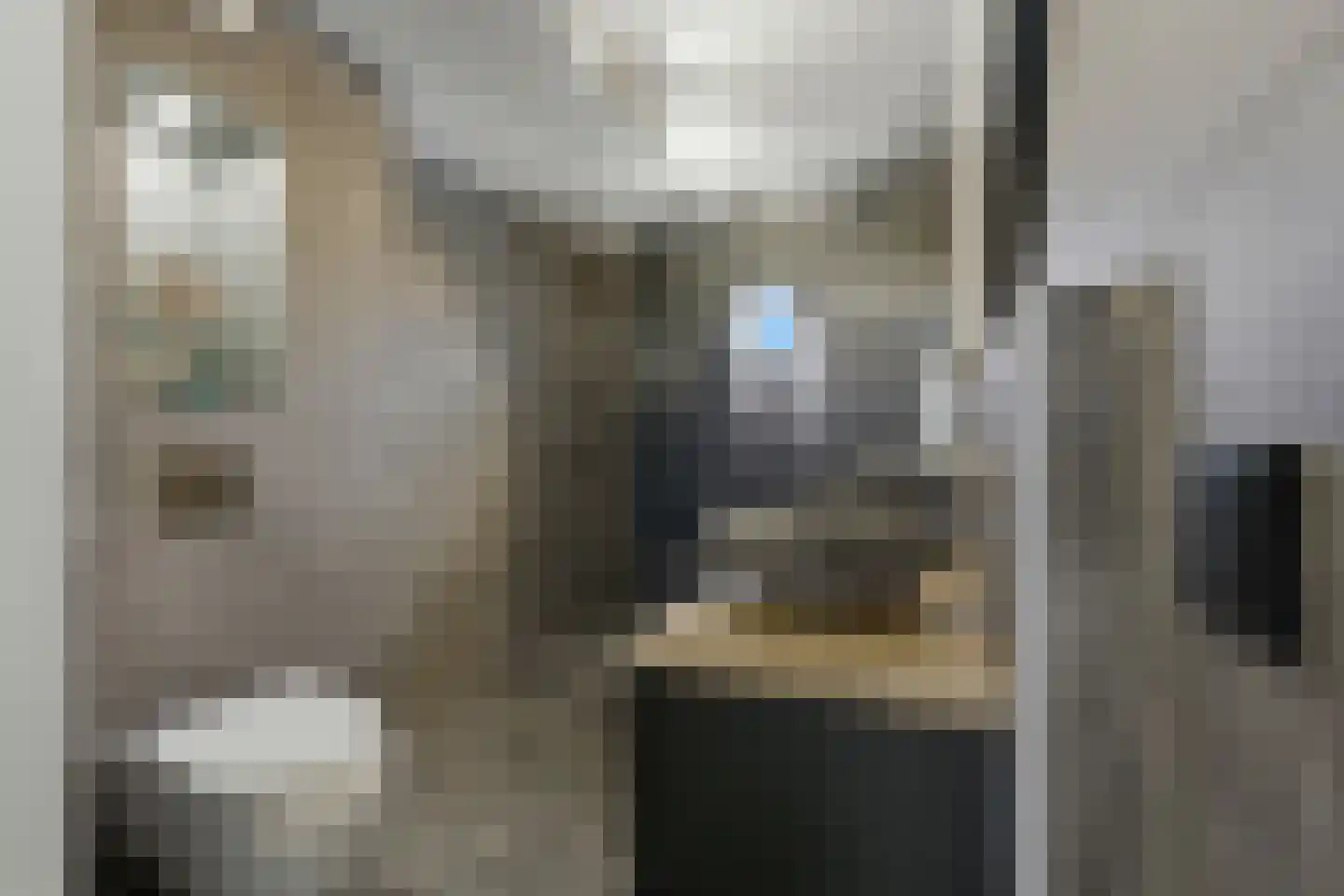 Machteld Sandelijnslaan 24 Hendrik-Ido-Ambacht thumbnail 20