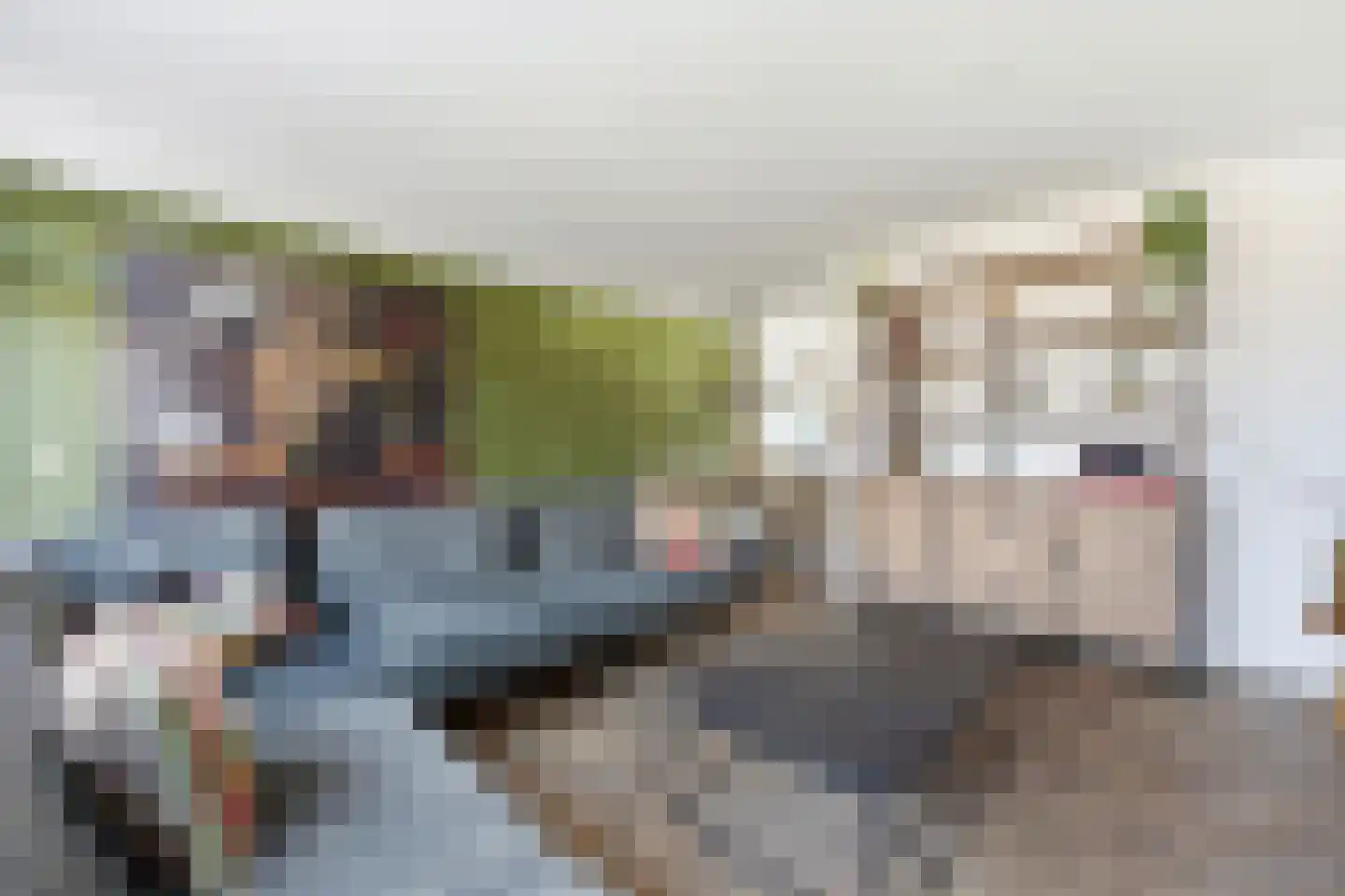Machteld Sandelijnslaan 24 Hendrik-Ido-Ambacht thumbnail 7