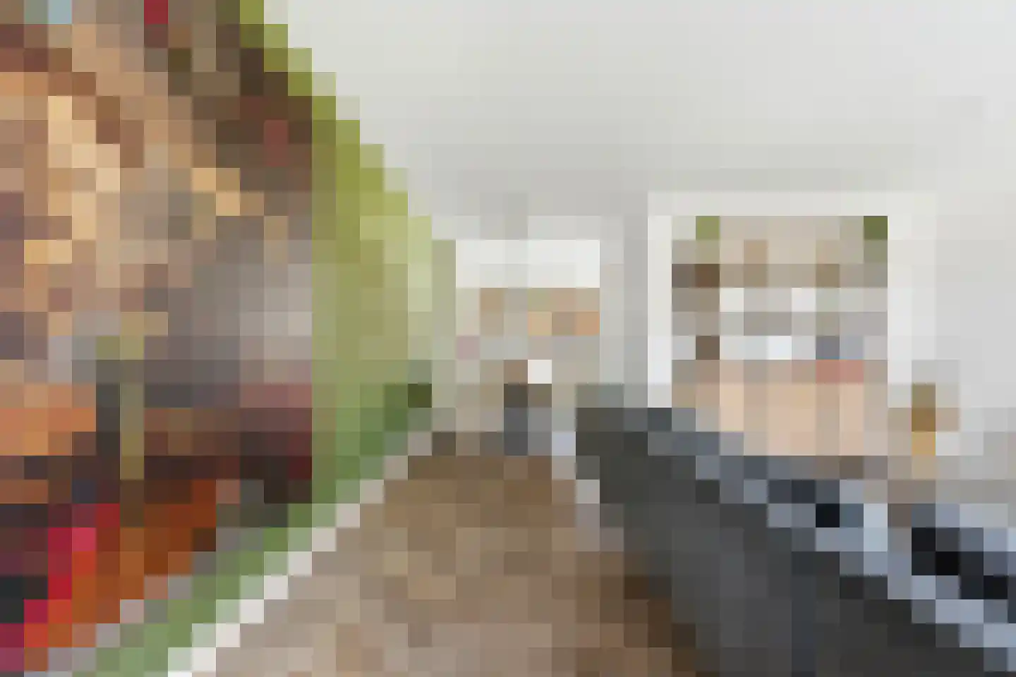 Machteld Sandelijnslaan 24 Hendrik-Ido-Ambacht thumbnail 8