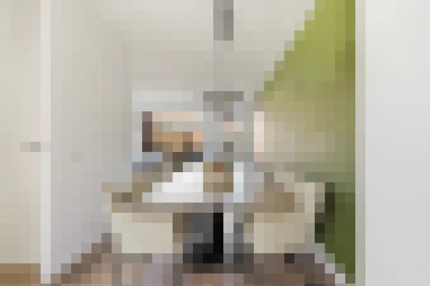Machteld Sandelijnslaan 24 Hendrik-Ido-Ambacht thumbnail 9