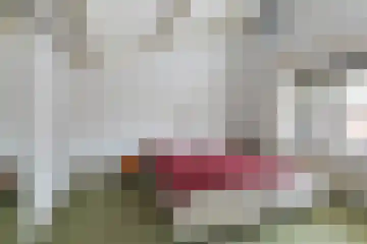 Machteld Sandelijnslaan 31 Hendrik-Ido-Ambacht thumbnail 15