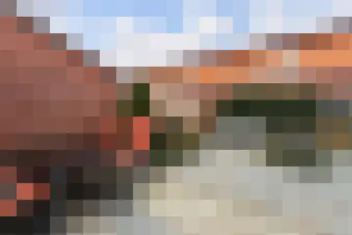 Machteld Sandelijnslaan 31 Hendrik-Ido-Ambacht thumbnail 18
