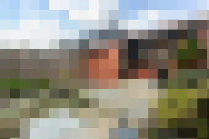 Machteld Sandelijnslaan 31 Hendrik-Ido-Ambacht thumbnail 20