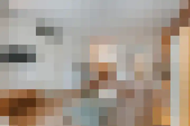 Machteld Sandelijnslaan 31 Hendrik-Ido-Ambacht thumbnail 4