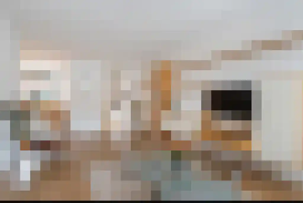 Machteld Sandelijnslaan 31 Hendrik-Ido-Ambacht thumbnail 4