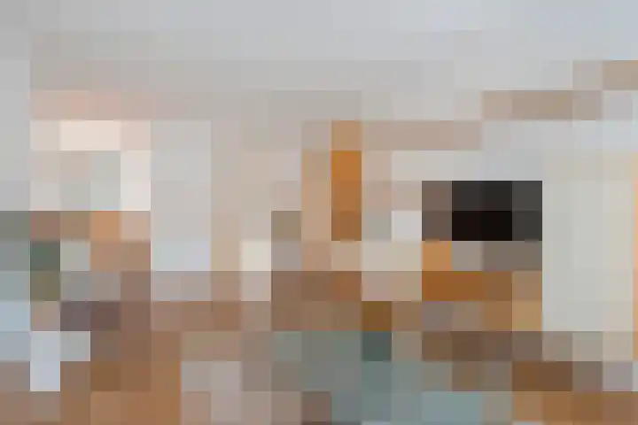 Machteld Sandelijnslaan 31 Hendrik-Ido-Ambacht thumbnail 5