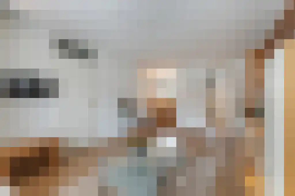 Machteld Sandelijnslaan 31 Hendrik-Ido-Ambacht thumbnail 5