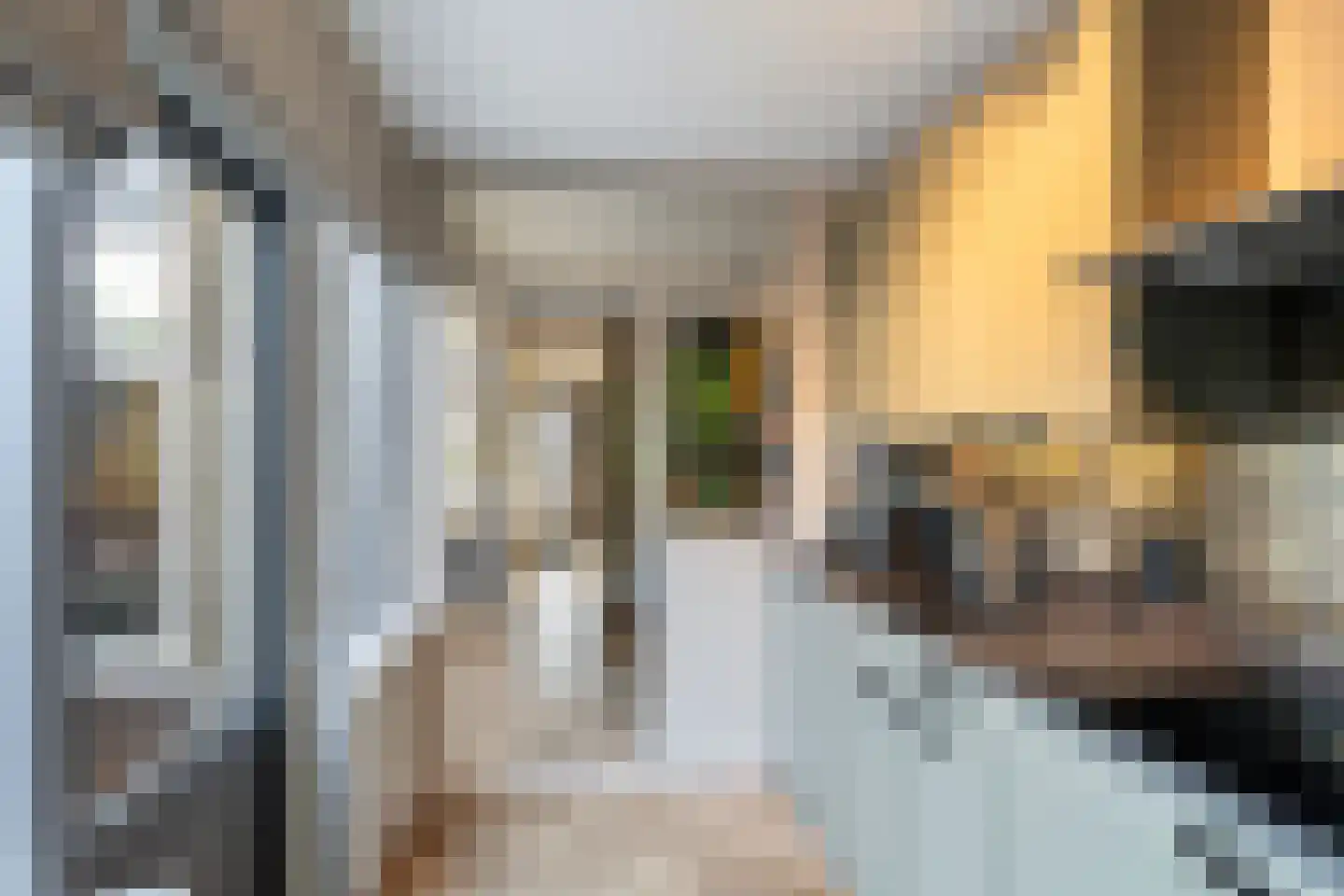 Machteld v Raaphorststraat 21 Naaldwijk thumbnail 10