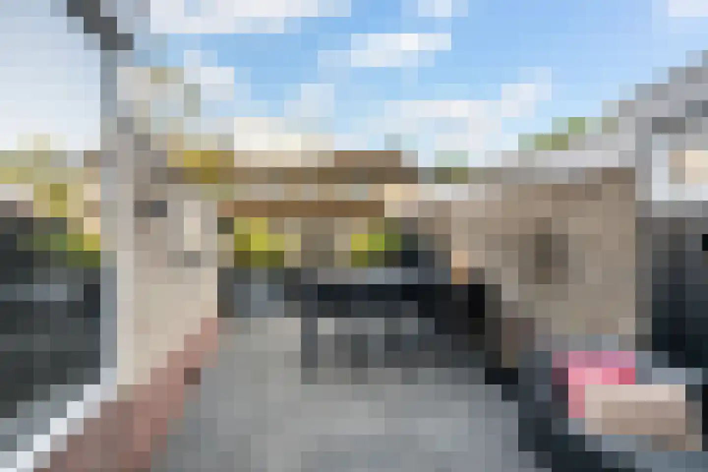 Machteld v Raaphorststraat 21 Naaldwijk thumbnail 12