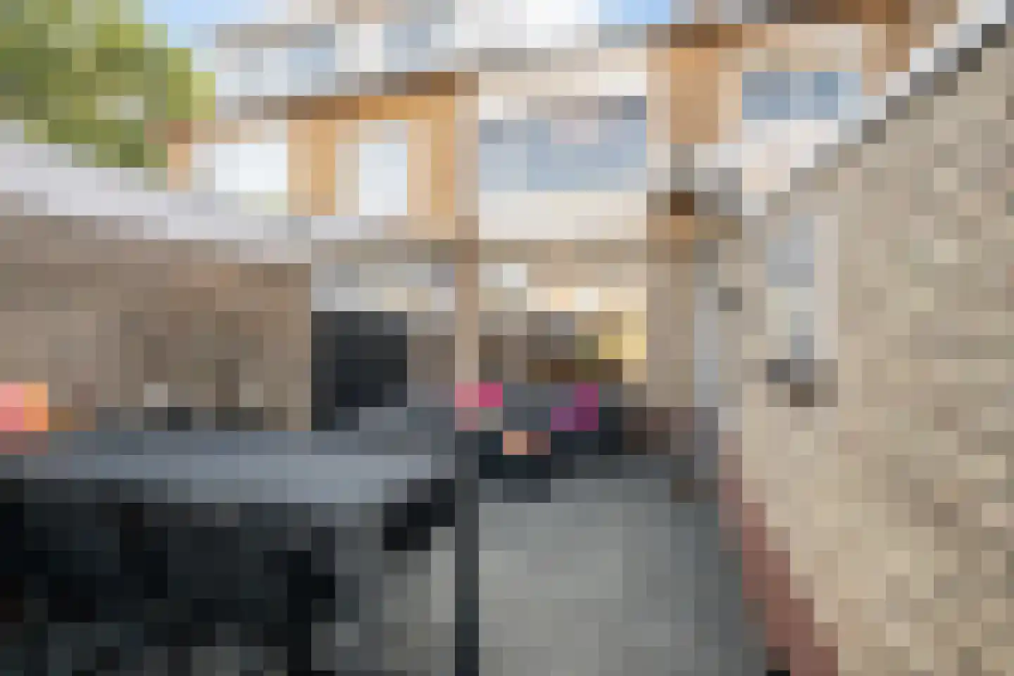 Machteld v Raaphorststraat 21 Naaldwijk thumbnail 13