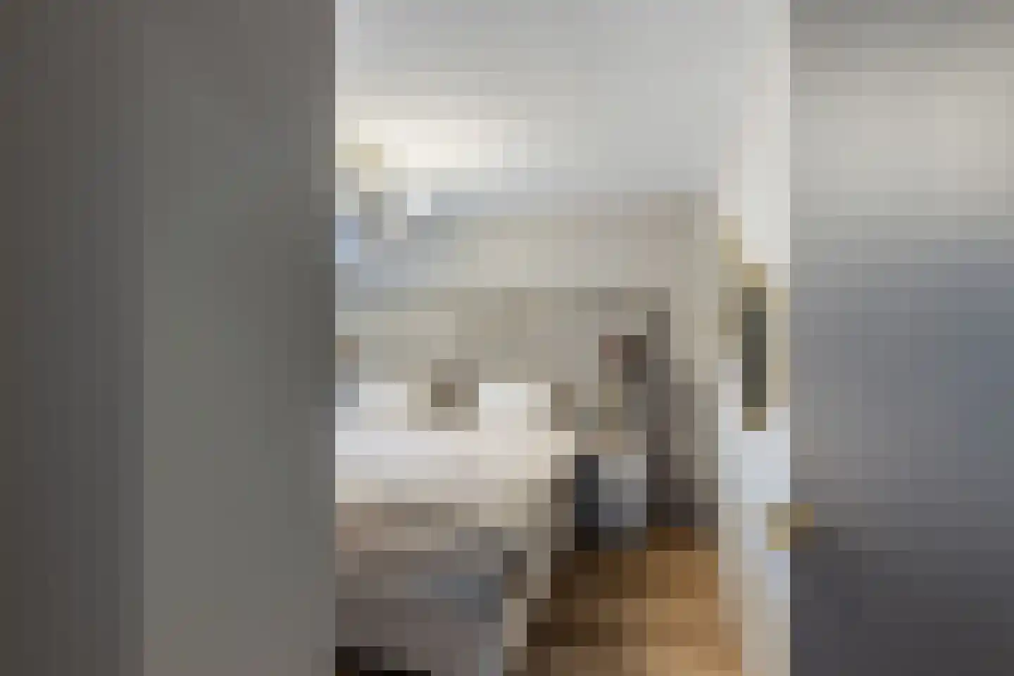 Machteld v Raaphorststraat 21 Naaldwijk thumbnail 16