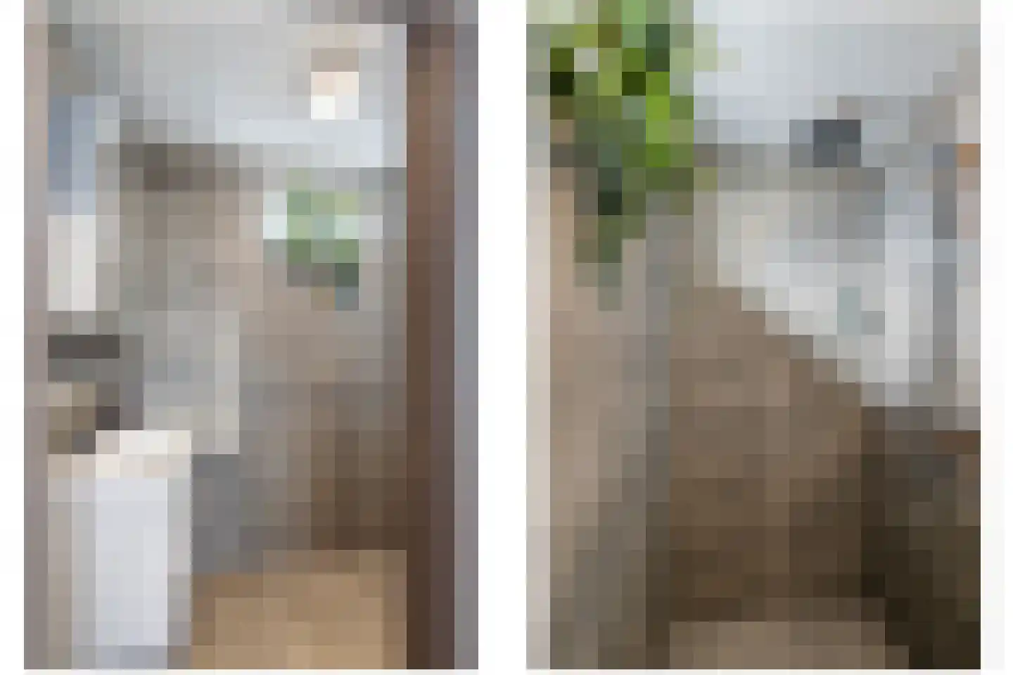 Machteld v Raaphorststraat 21 Naaldwijk thumbnail 21