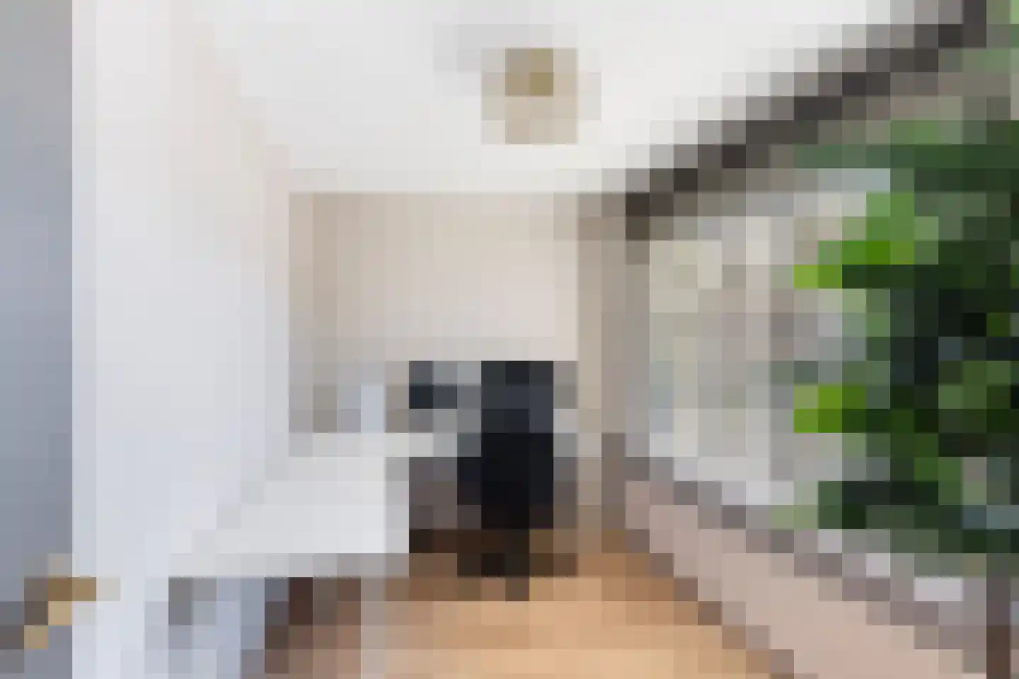 Machteld v Raaphorststraat 21 Naaldwijk thumbnail 22