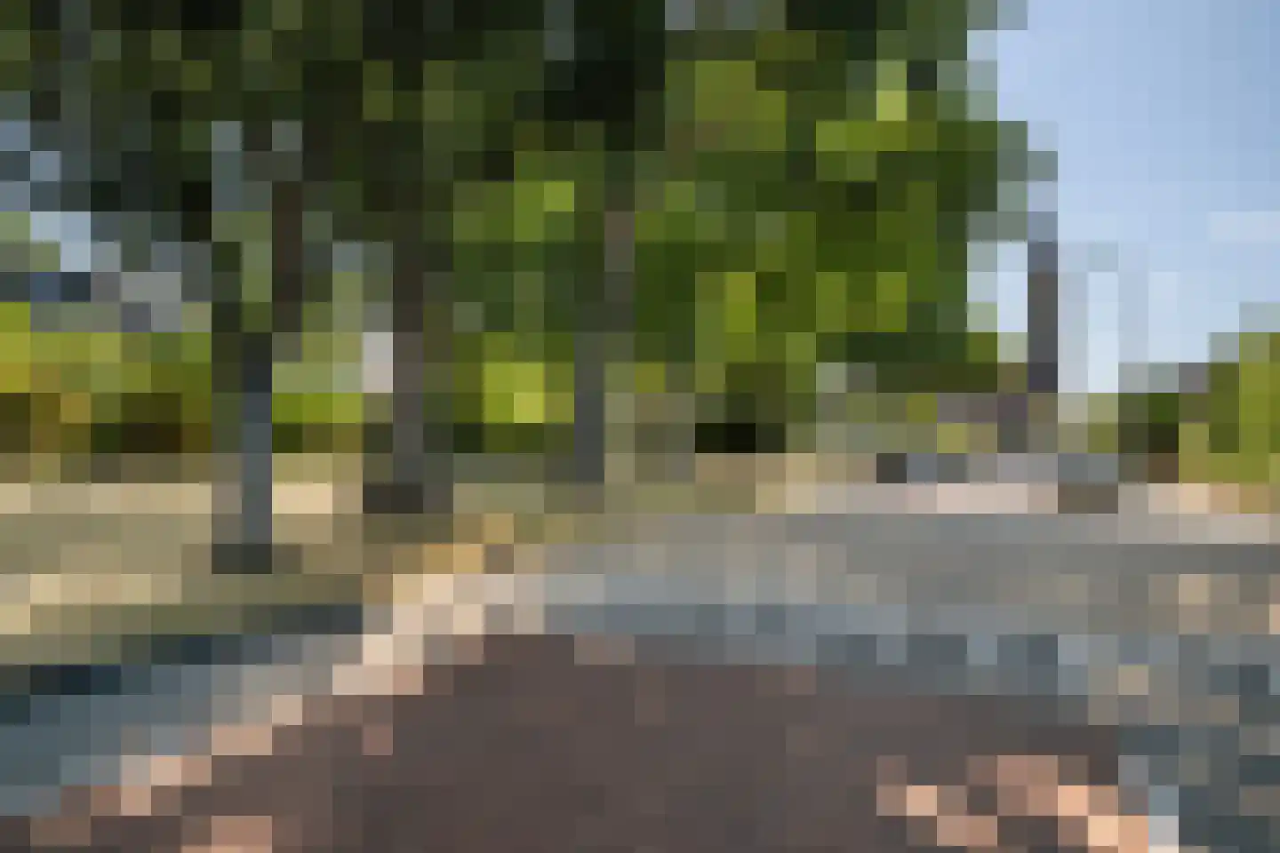 Machteld v Raaphorststraat 21 Naaldwijk thumbnail 31
