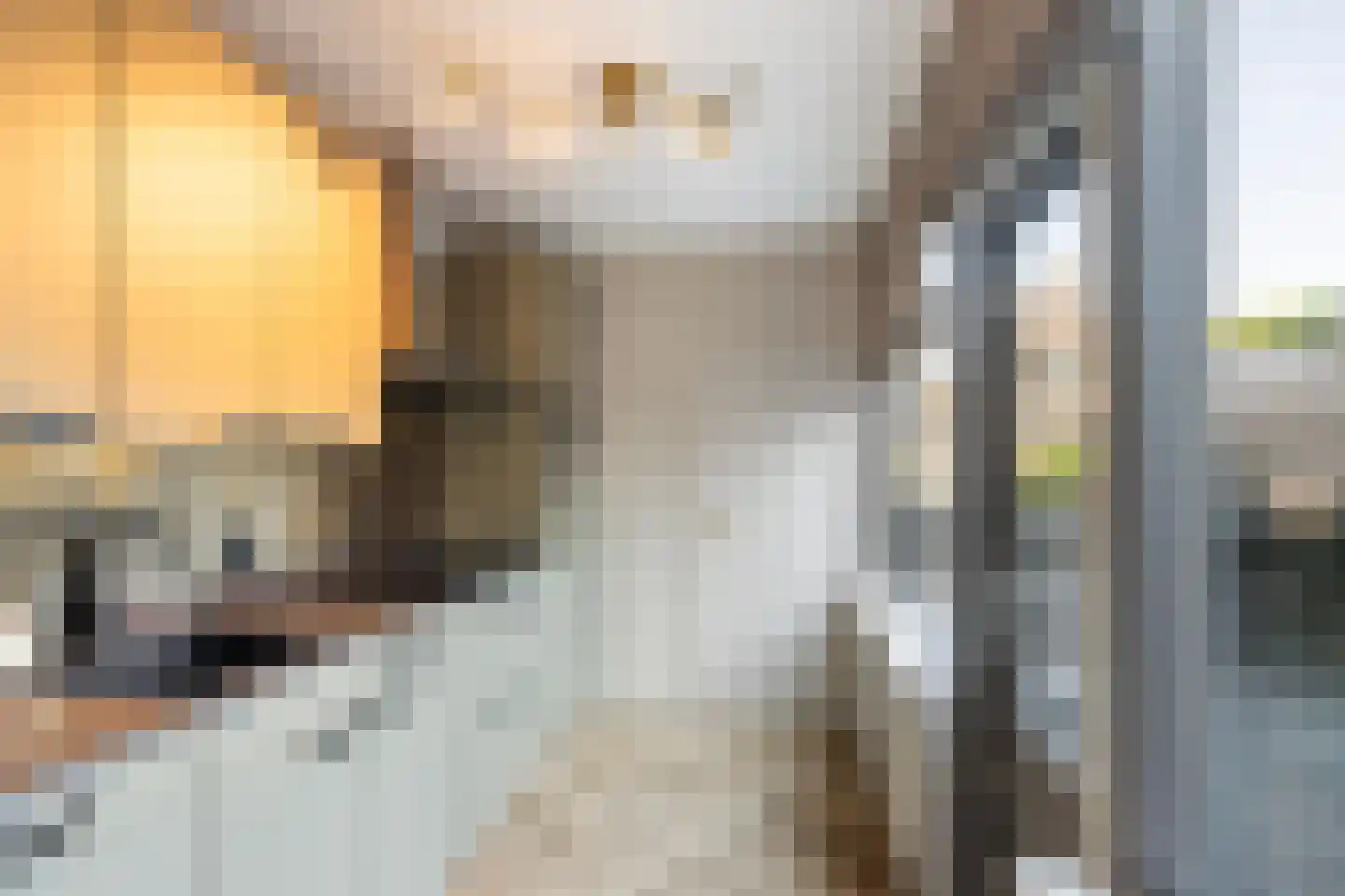 Machteld v Raaphorststraat 21 Naaldwijk thumbnail 9