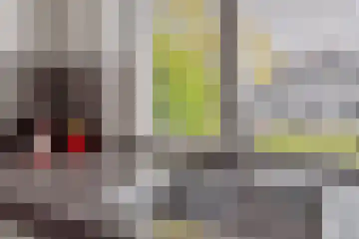 Machteld van Brabantplaats 13 Leiderdorp thumbnail 16