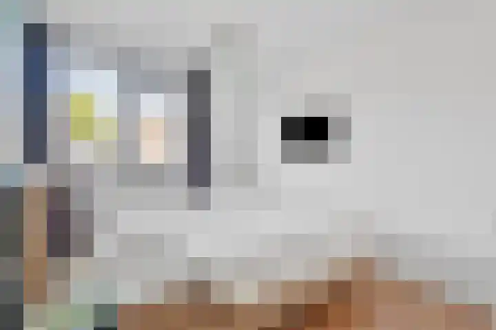 Machteld van Brabantplaats 13 Leiderdorp thumbnail 25