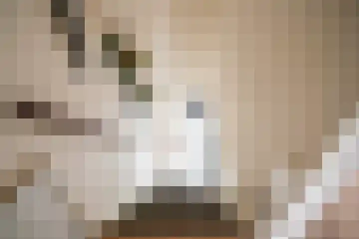 Machteld van Brabantplaats 7 Leiderdorp thumbnail 31