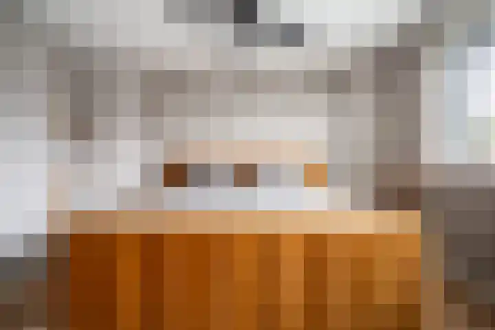 Machteld van Brabantplaats 7 Leiderdorp thumbnail 33